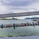 Watches on a bridge in Sommarøy.